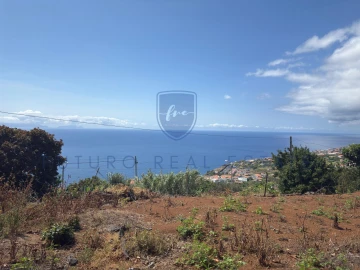Terreno para Venda em Santa Cruz