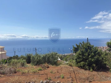 Terreno para Venda em Santa Cruz