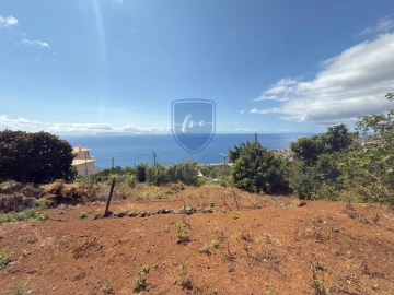 Terreno para Venda em Santa Cruz