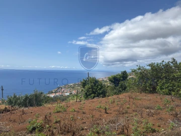 Terreno para Venda em Santa Cruz