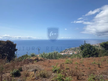 Terreno para Venda em Santa Cruz