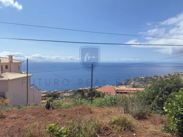 Terreno para Venda em Santa Cruz