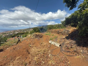 Terreno para Venda em Santa Cruz