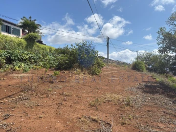 Terreno para Venda em Santa Cruz