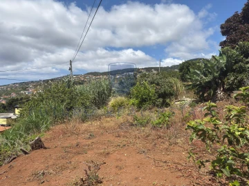 Terreno para Venda em Santa Cruz