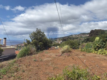 Terreno para Venda em Santa Cruz