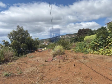 Terreno para Venda em Santa Cruz