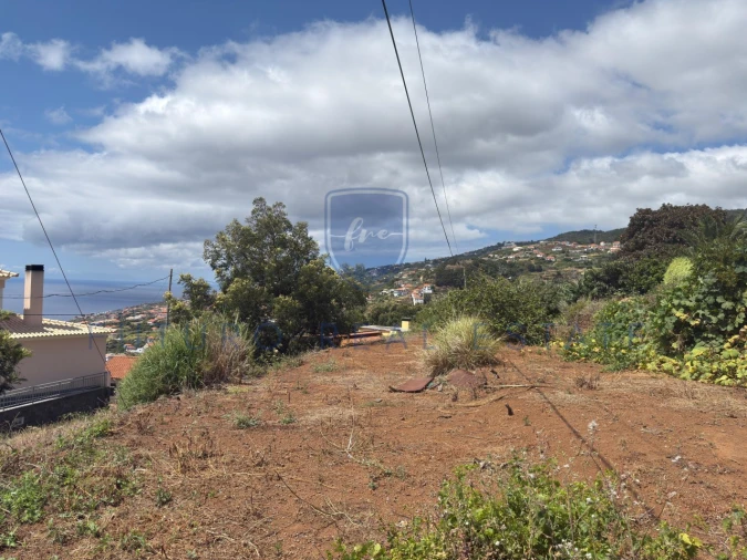 Terreno para Venda em Santa Cruz Foto 28