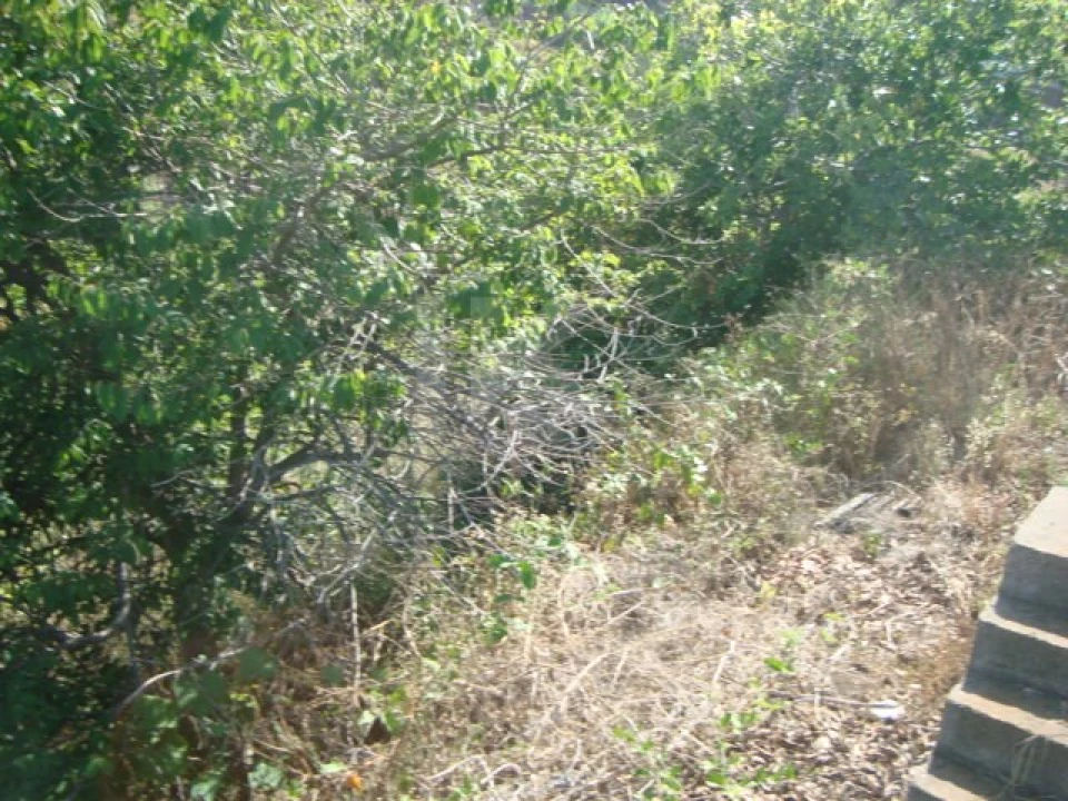 Terreno para Venda em Gaula Foto 6