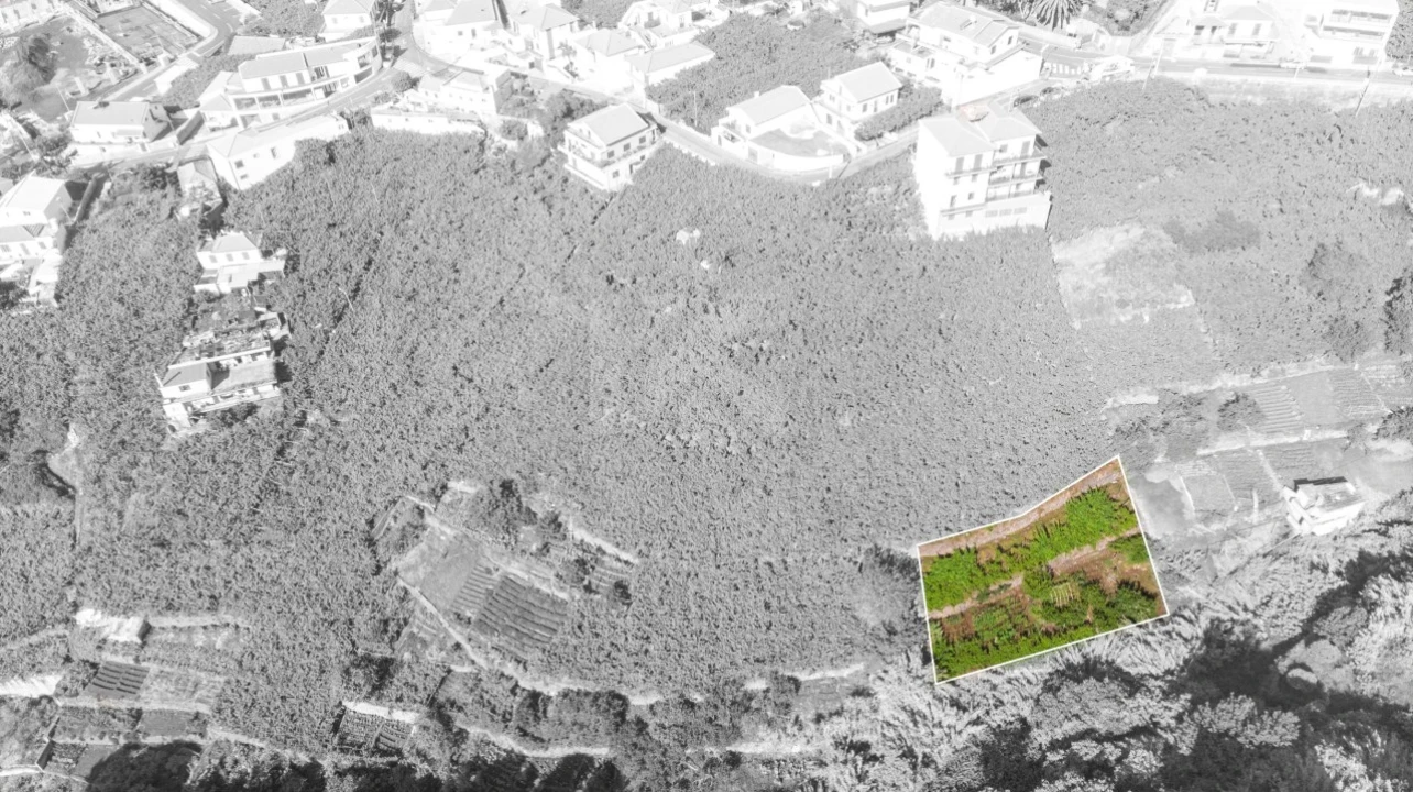 Terreno para Venda em Estreito de Camara de Lobos Foto 1