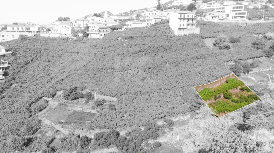Terreno para Venda em Estreito de Camara de Lobos Foto 3