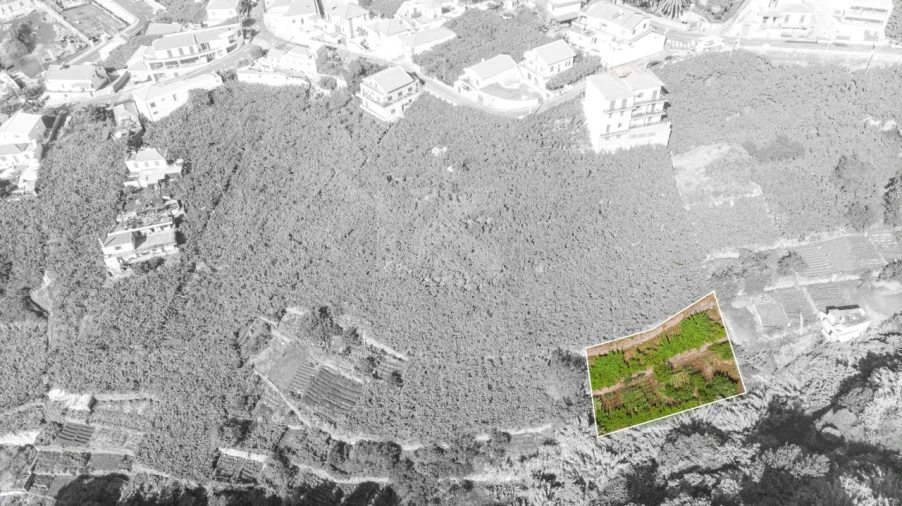 Terreno para Venda em Estreito de Camara de Lobos