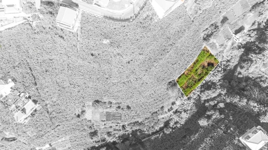 Terreno para Venda em Estreito de Camara de Lobos Foto 4