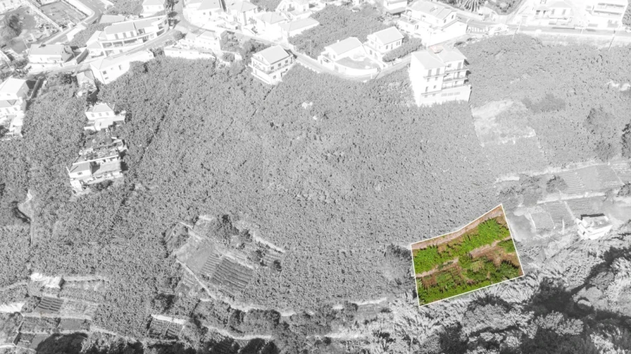 Terreno para Venda em Estreito de Camara de Lobos