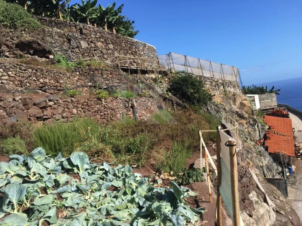 Terreno para Venda em Camara de Lobos Foto 9