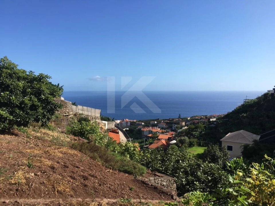 Terreno para Venda em Camara de Lobos Foto 6