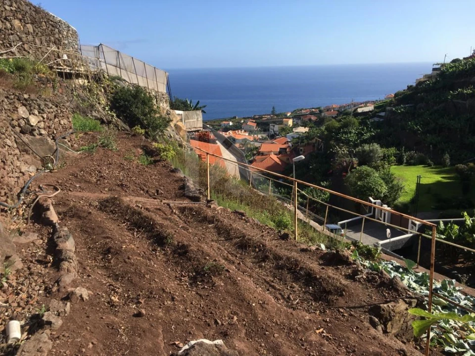 Terreno para Venda em Camara de Lobos Foto 3
