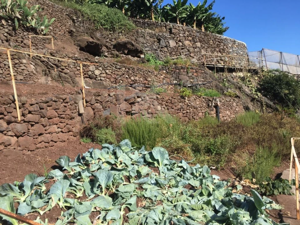 Terreno para Venda em Camara de Lobos Foto 17