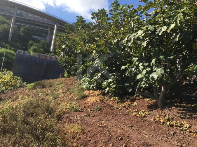Terreno para Venda em Camara de Lobos Foto 5