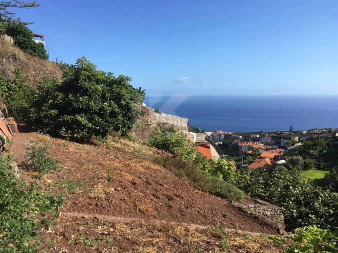 Terreno para Venda em Camara de Lobos