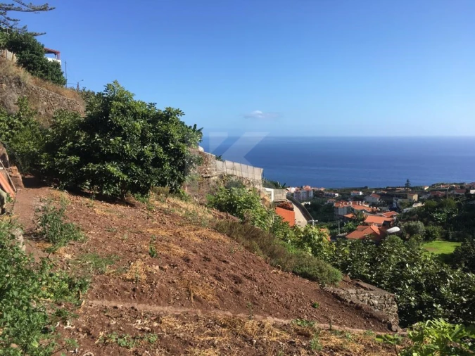 Terreno para Venda em Camara de Lobos Foto 8