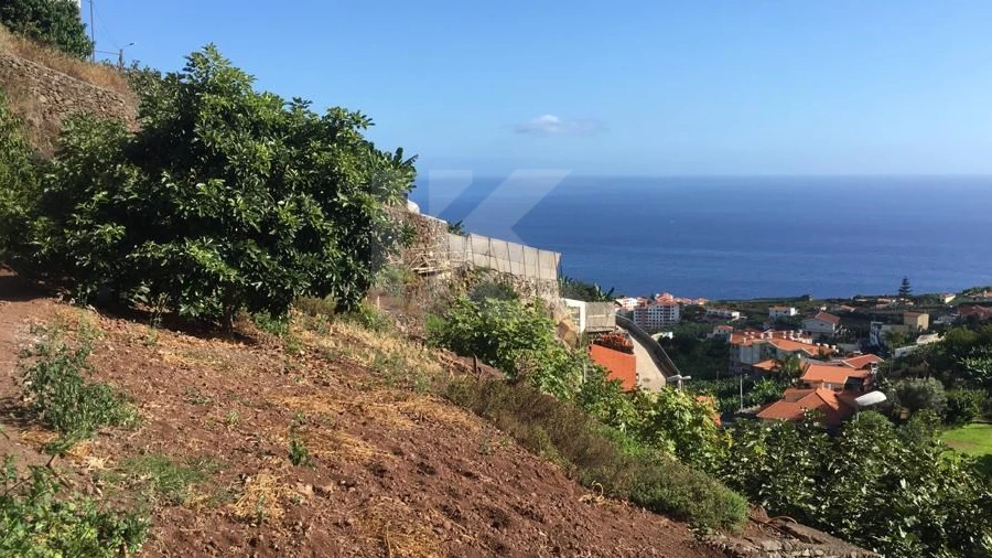 Terreno para Venda em Camara de Lobos