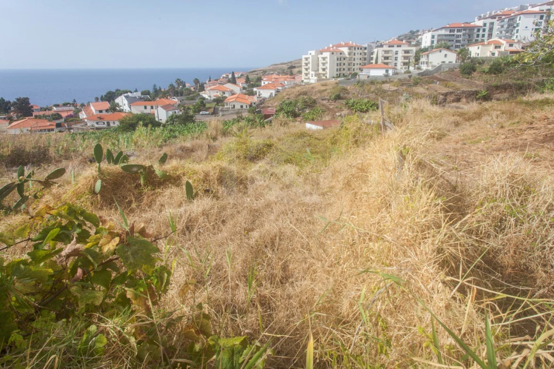 Terreno para Venda em Caniço Foto 3