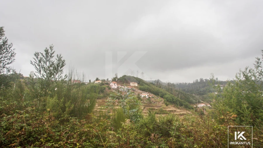 Terreno para Venda em Camacha