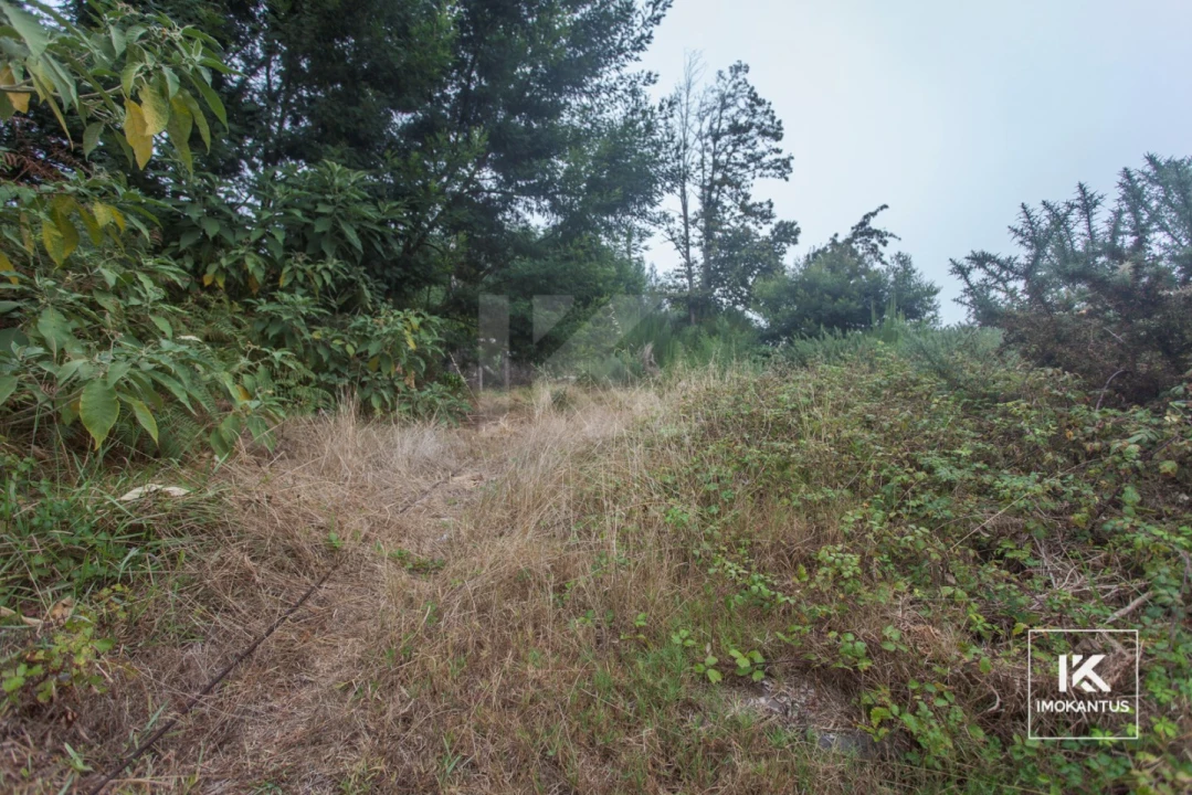 Terreno para Venda em Camacha Foto 1