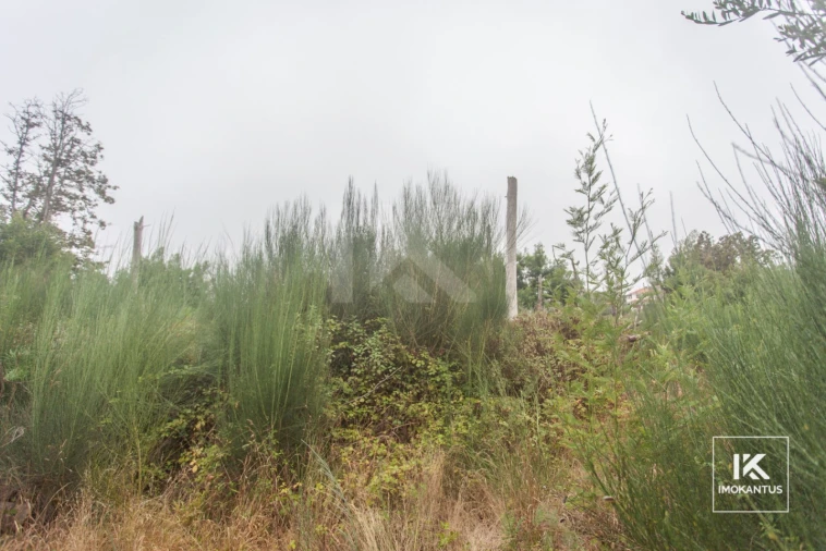 Terreno para Venda em Camacha Foto 3