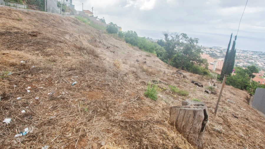 Terreno para Venda em São Roque