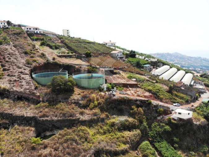 Terreno para Venda em Estreito de Camara de Lobos Foto 8