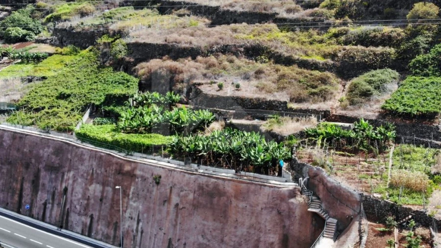 Terreno para Venda em Estreito de Camara de Lobos