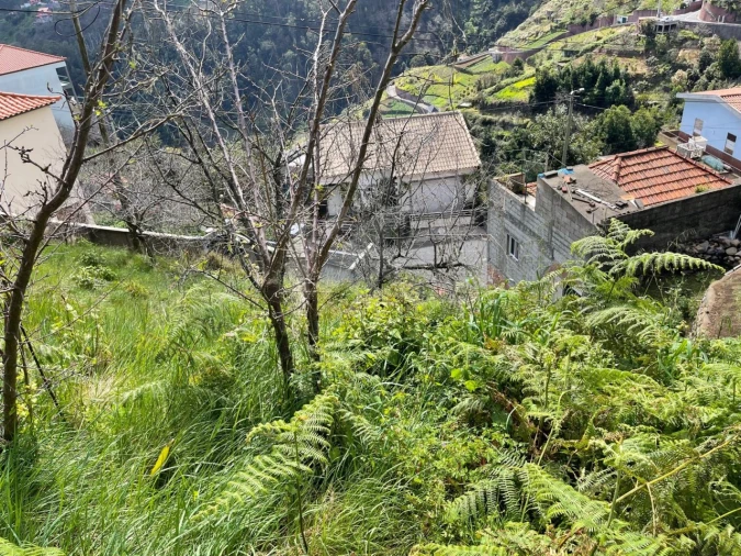 Terreno para Venda em Estreito de Camara de Lobos Foto 5