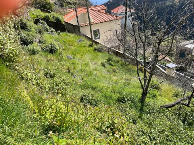 Terreno para Venda em Estreito de Camara de Lobos Foto 11