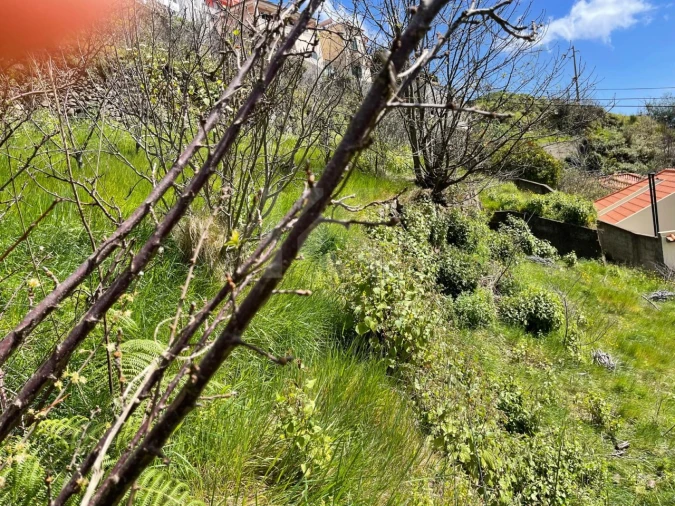 Terreno para Venda em Estreito de Camara de Lobos Foto 12