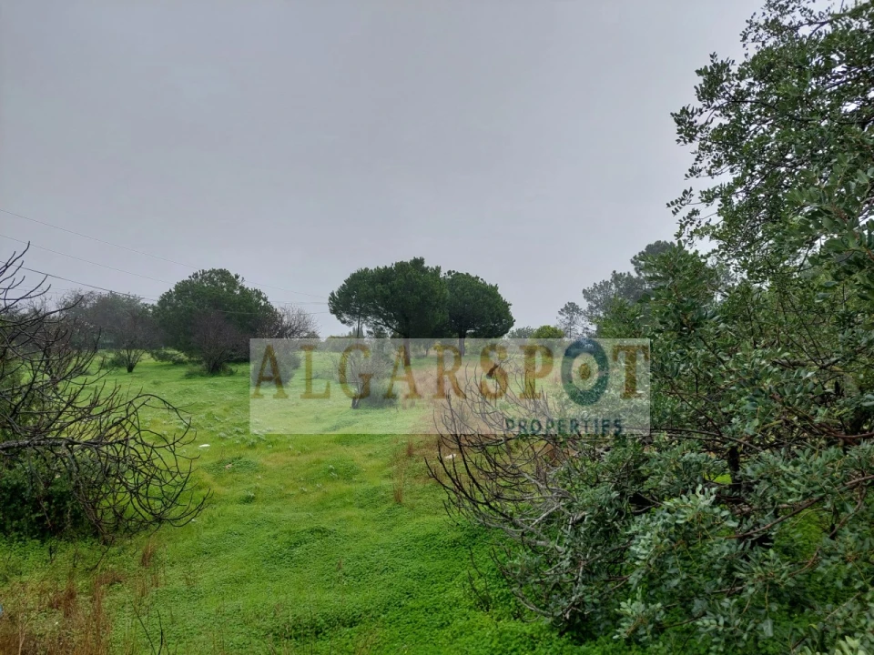 Terreno para Venda em Quarteira Foto 8