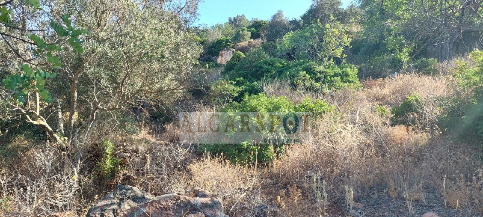 Terreno para Venda em Loule (São Sebastião) Foto 3