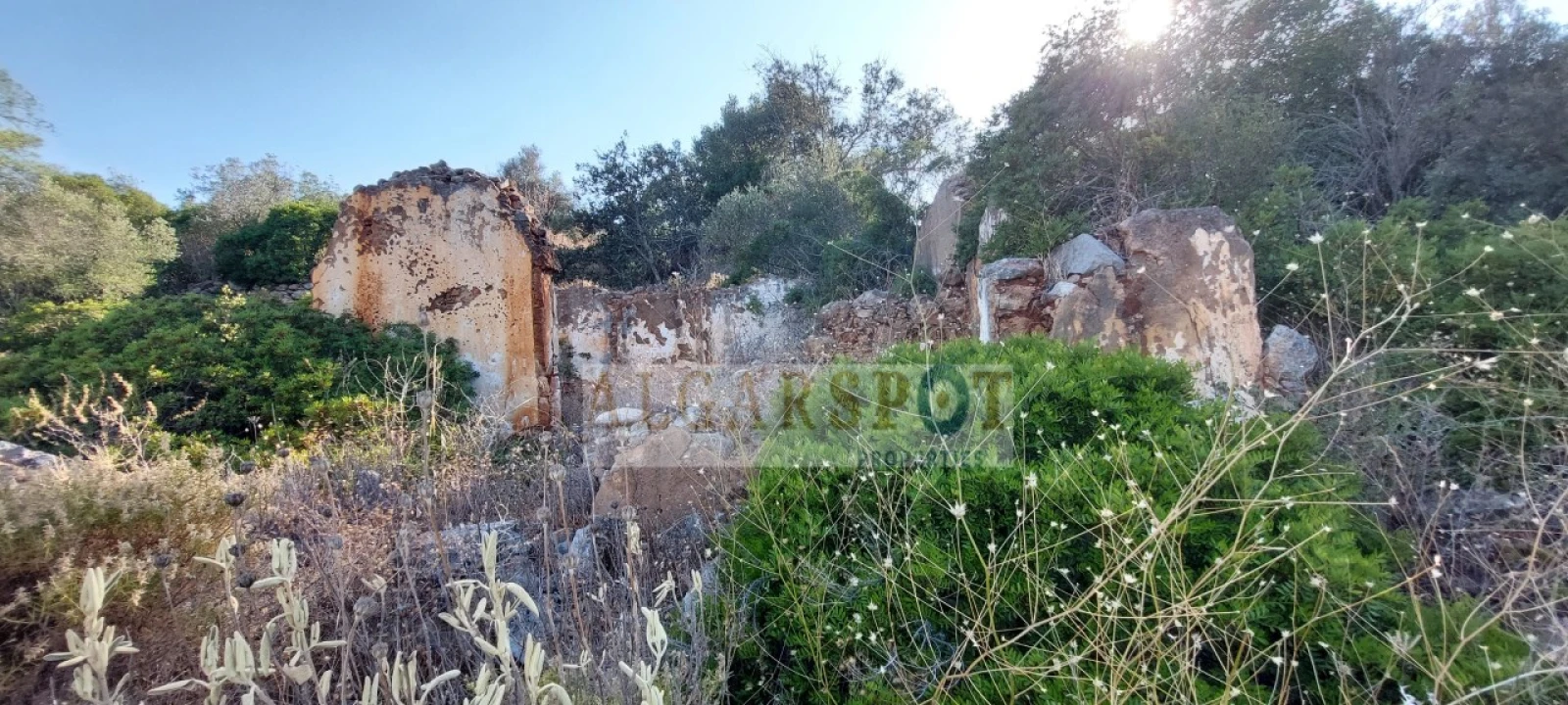 Terreno para Venda em Loule (São Sebastião) Foto 4