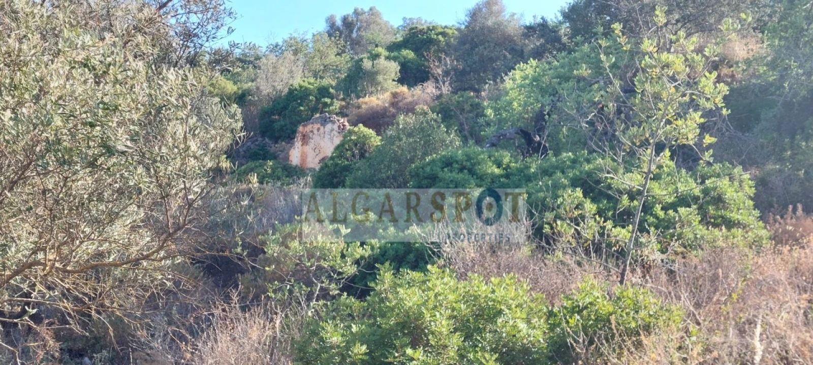 Terreno para Venda em Loule (São Sebastião) Foto 5
