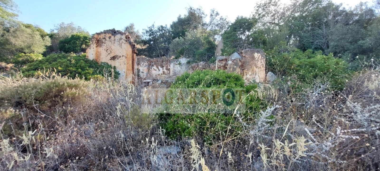 Terreno para Venda em Loule (São Sebastião) Foto 6