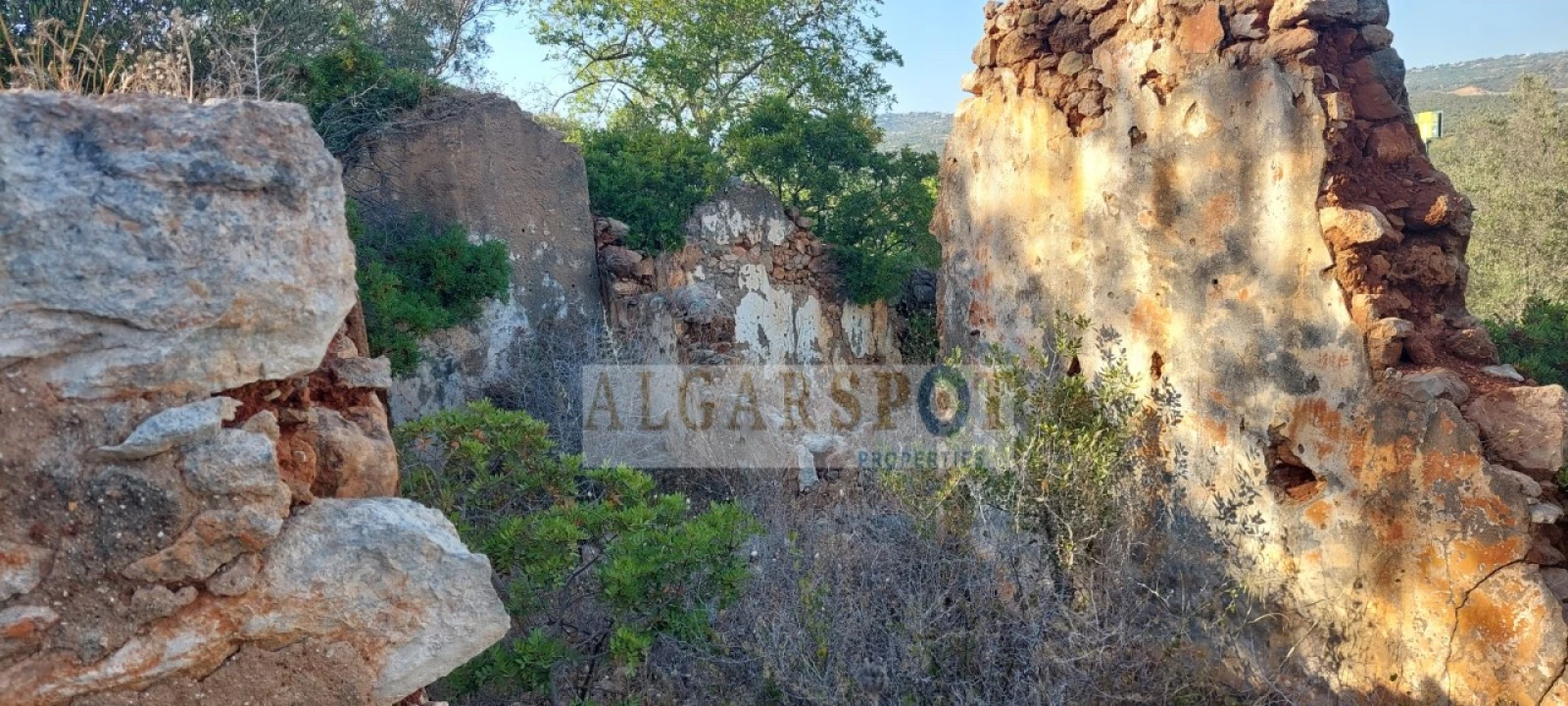 Terreno para Venda em Loule (São Sebastião) Foto 11