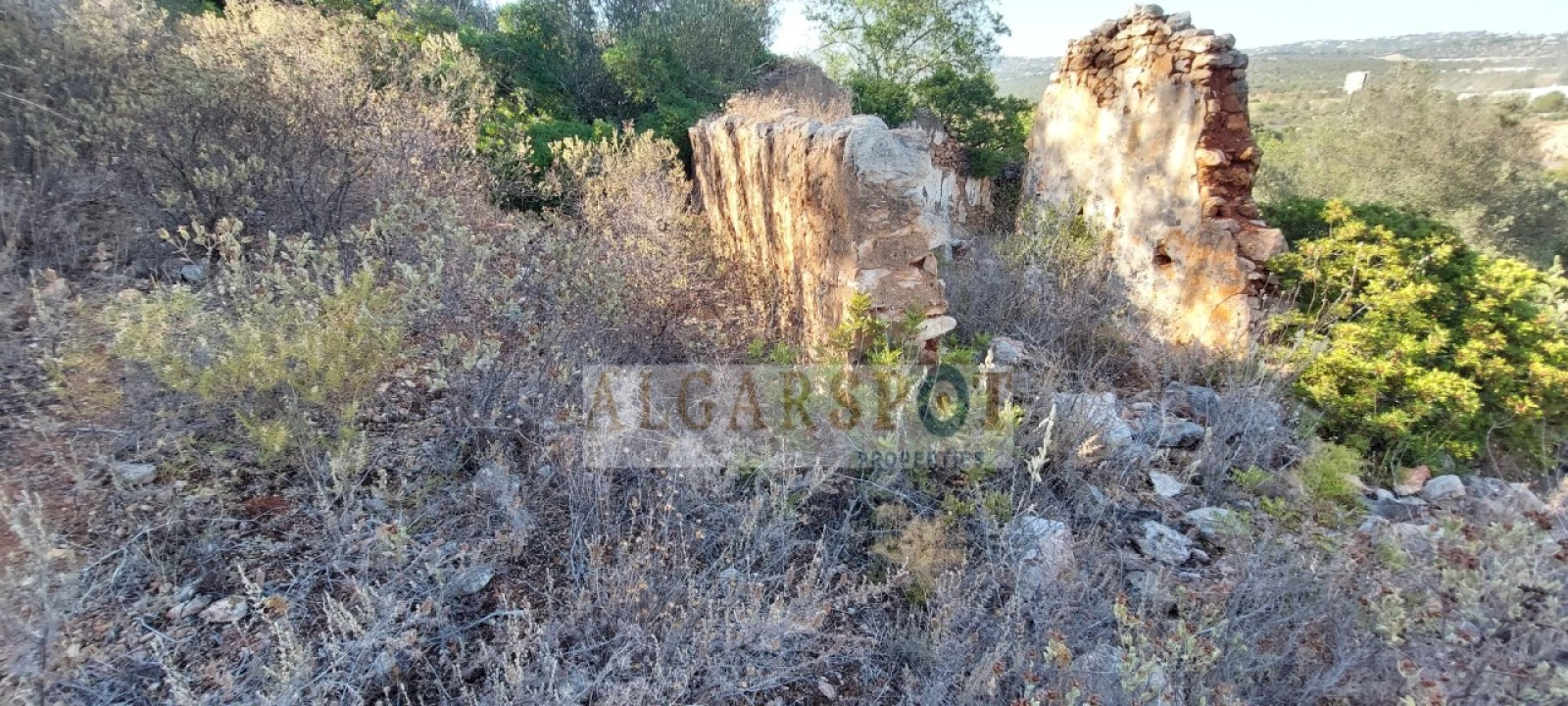 Terreno para Venda em Loule (São Sebastião) Foto 12