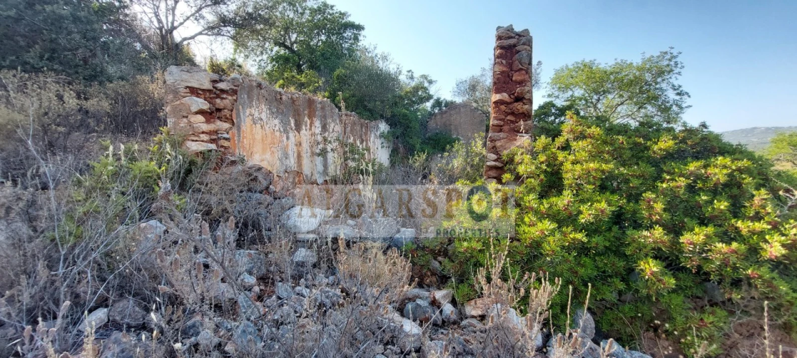 Terreno para Venda em Loule (São Sebastião) Foto 14