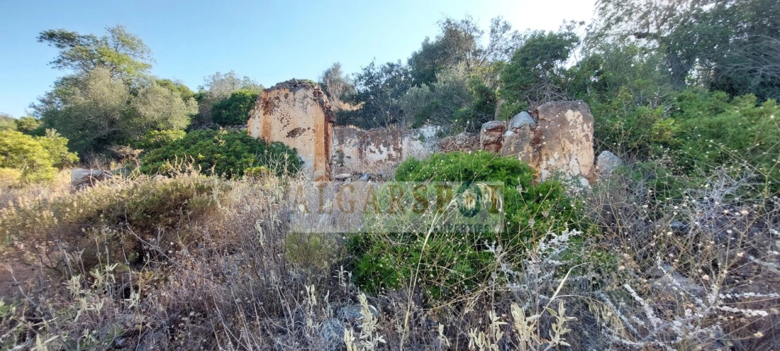 Terreno para Venda em Loule (São Sebastião) Foto 17