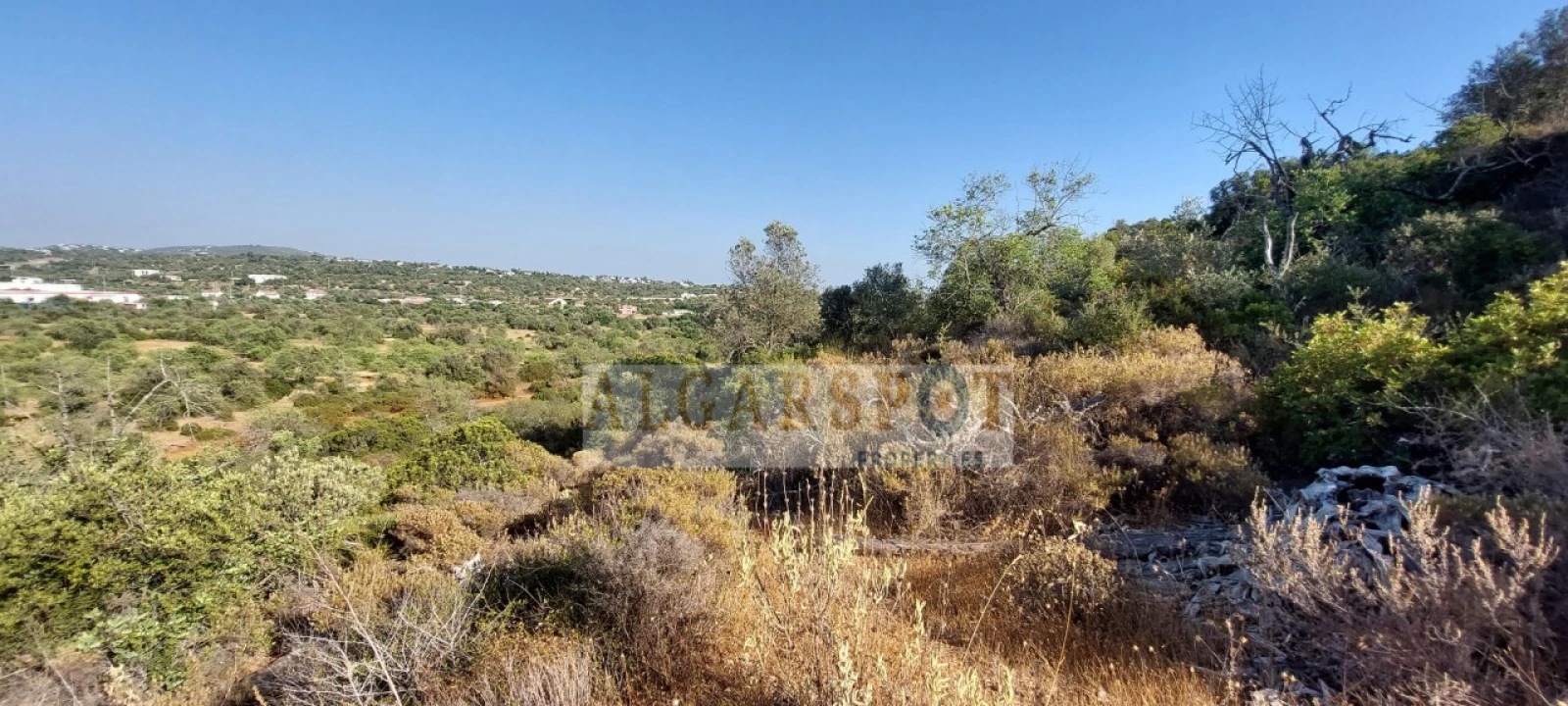 Terreno para Venda em Loule (São Sebastião) Foto 1