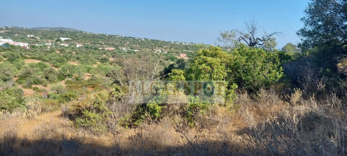 Terreno para Venda em Loule (São Sebastião) Foto 9