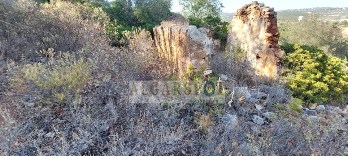 Terreno para Venda em Loule (São Sebastião) Foto 12
