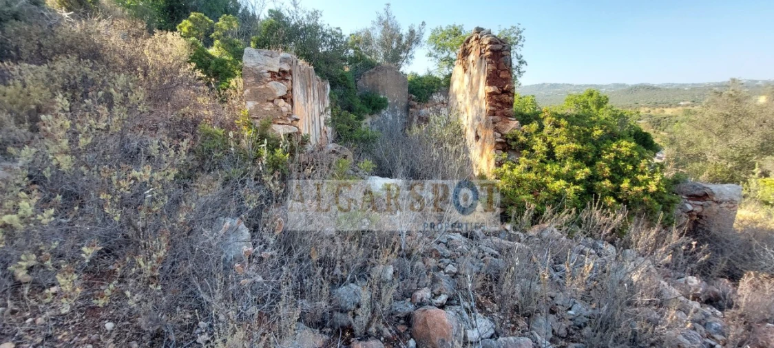 Terreno para Venda em Loule (São Sebastião) Foto 13