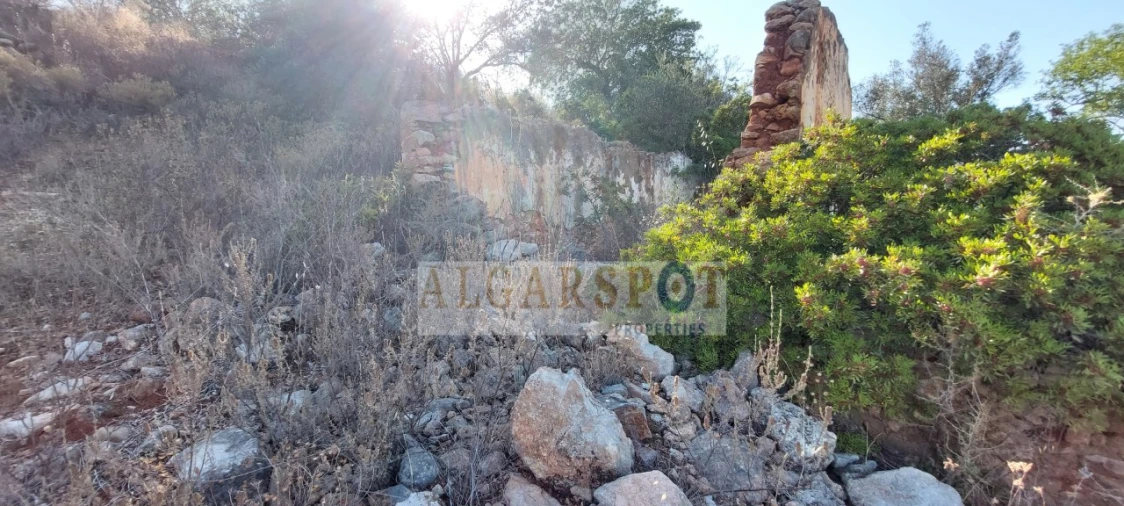 Terreno para Venda em Loule (São Sebastião) Foto 15